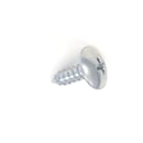 Freezer Screw