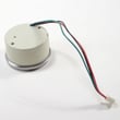 Freezer Temperature Gauge 241693004