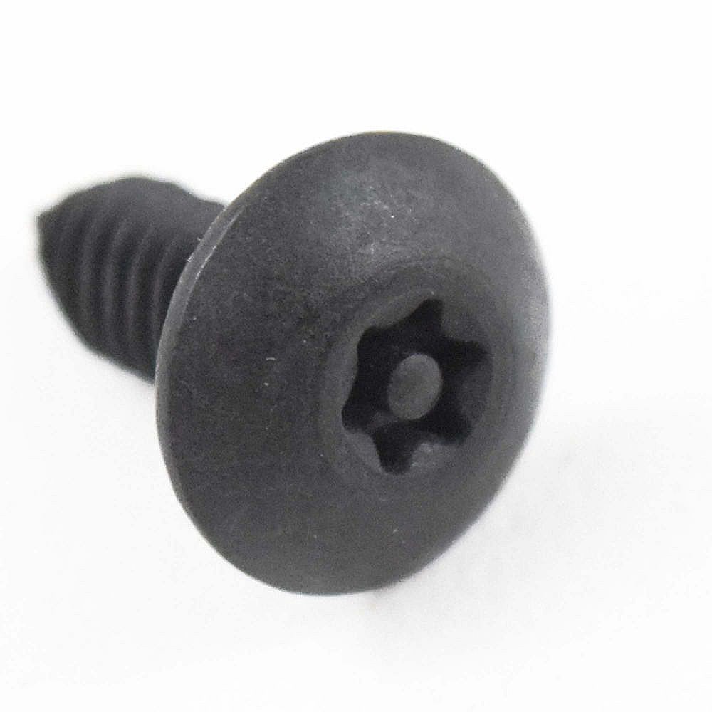 Freezer Tamper-Proof Screw, 1/4-20 x 5/8-in