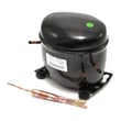 Freezer Compressor for Kelvinator KCH09M2MW0 - Part 5304499438
