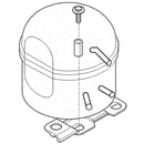 Refrigerator Compressor