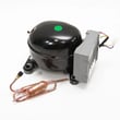 Refrigerator Compressor (replaces 75303918411)