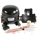 Refrigerator Compressor