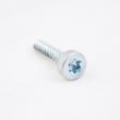 Torx Screw