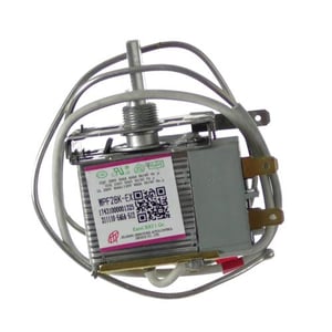 Thermostat WR55X26402