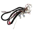 Main Dc Harness for GE PSB48YSNKSS - Part WR55X41667