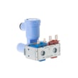 Ge Profile Refrigerator Water Inlet Valve Assembly WR57X10024