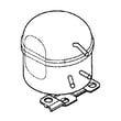 Compressor for GE FUM14DMDRWH - Part WR87X10086