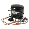 Refrigerator Compressor (replaces WR87X10044, WR87X10064, WR87X10121, WR87X10123, WR87X10180)