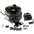 Compressor & Electricals for GE GTE18MSRBRSS - Part WR87X38746