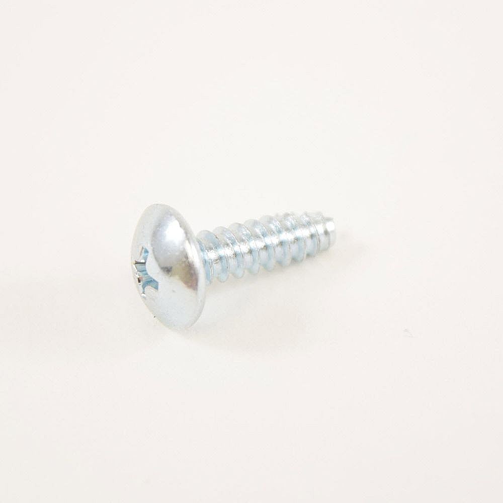 Part #6002-000613, Refrigerator Screw / 2.00 x 1.00 x 1.00