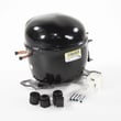Wine Cooler Compressor 20505212499