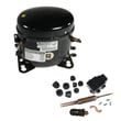 Refrigerator Compressor 12000005