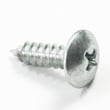 Screw 3005-0075