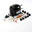 Refrigerator Compressor 7006959