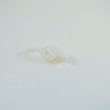 Refrigerator Dispenser Lever Retainer MFF61863101