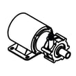 Scotsman Drain Pump 12-2503-21