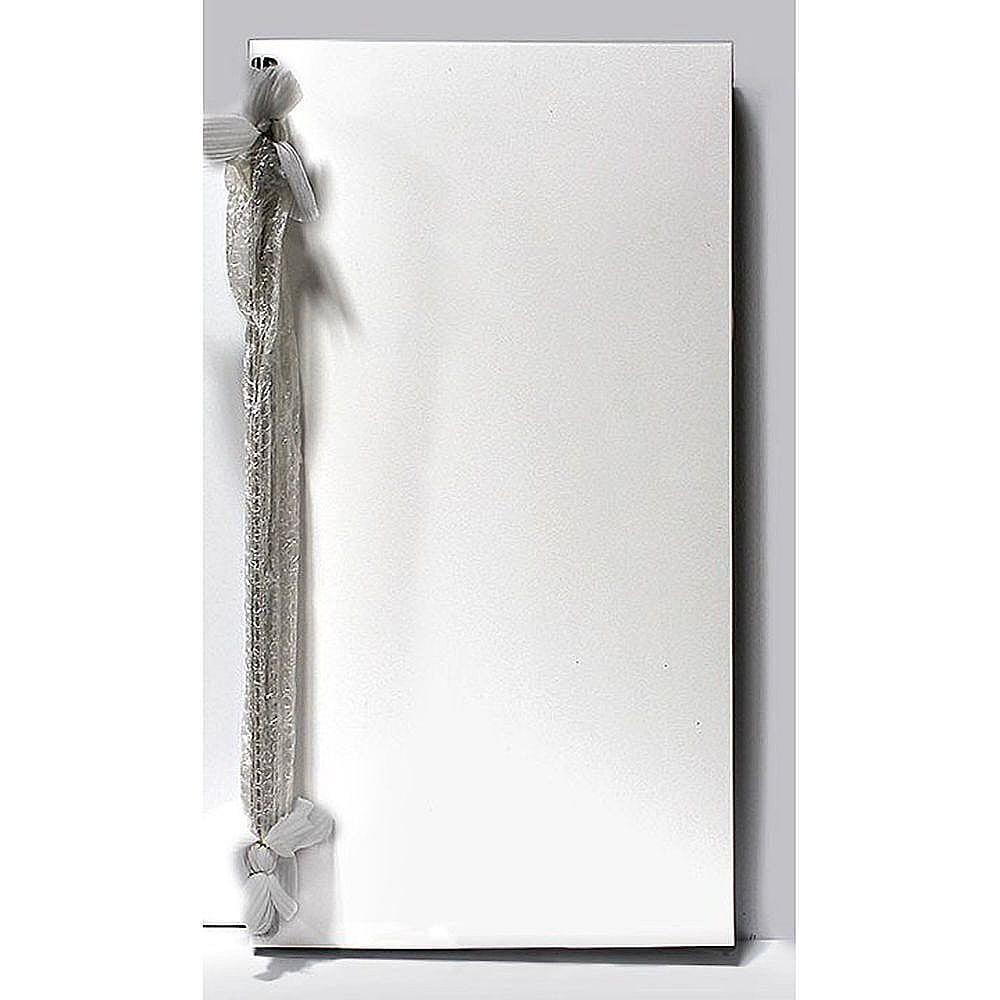 Photo of GE Part #80-54352-00, U-Line Door Assy W/hins from Repair Parts Direct