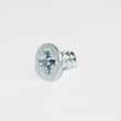 Screw 6003-001010