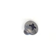 Television Machine Screw 172500040550