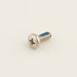 Vizio Television Screw, 4 X 10-mm 172500041020