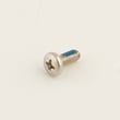 Vizio Television Screw, 4 X 10-mm for Vizio M470NV - Part 172500041020