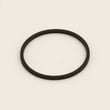 Belt 307858301