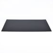 Television Lenticular Screen 491P217060