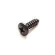 Television Screw 6003-001782