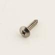 Screw 75023054