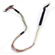 Wire Harness 75024021