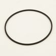 Belt LSDV0007