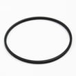 Belt RDV0056