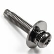 Television Screw THEL087N
