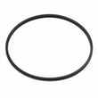 Belt,t/t U0107576U