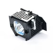Lamp Assembly UX21515