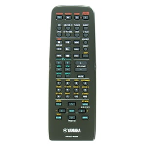 Remote WA220300