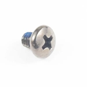 Screw COV31308901