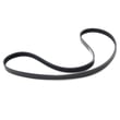 Drive Belt 22-50-169