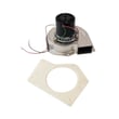 Blower Motor BLW00451