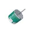 Trane Motor MOT13041