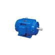 Trane Motor MOT13643