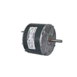 Trane Motor MOT17987
