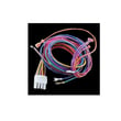 Trane Compressor Plug Wire Harness WIR09316