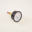 Boiler Temperature And Pressure Gauge 1260006SP
