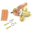 Expansion Valve 56J20