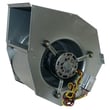 Central Air Conditioner Heat Pump Blower And Housing Assembly for Payne PY1PJB048115 - Part 48GS400239