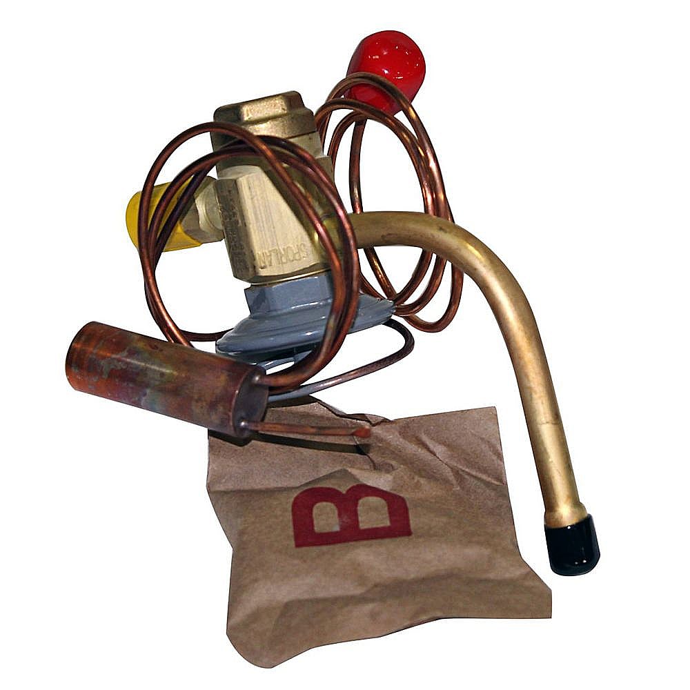 Payne Part #ea36Yd067, Valve Thrm