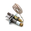 Furnace Pilot Assembly P322398
