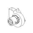 Goodman Ventor Motor Assy Gmp Series B1859005S
